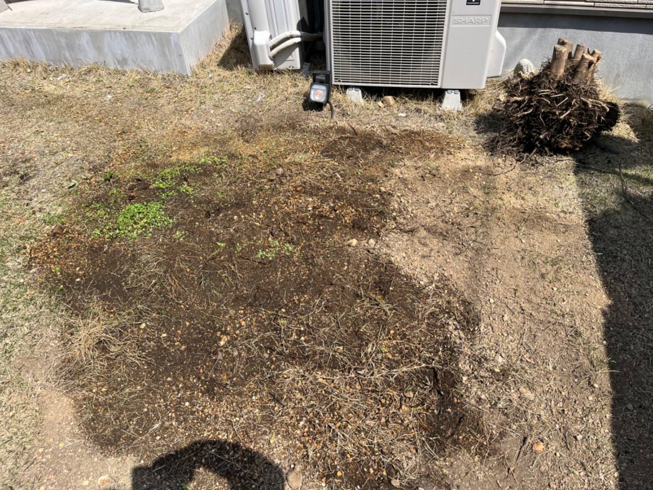 【抜根】抜根作業を行いました｜アミカル