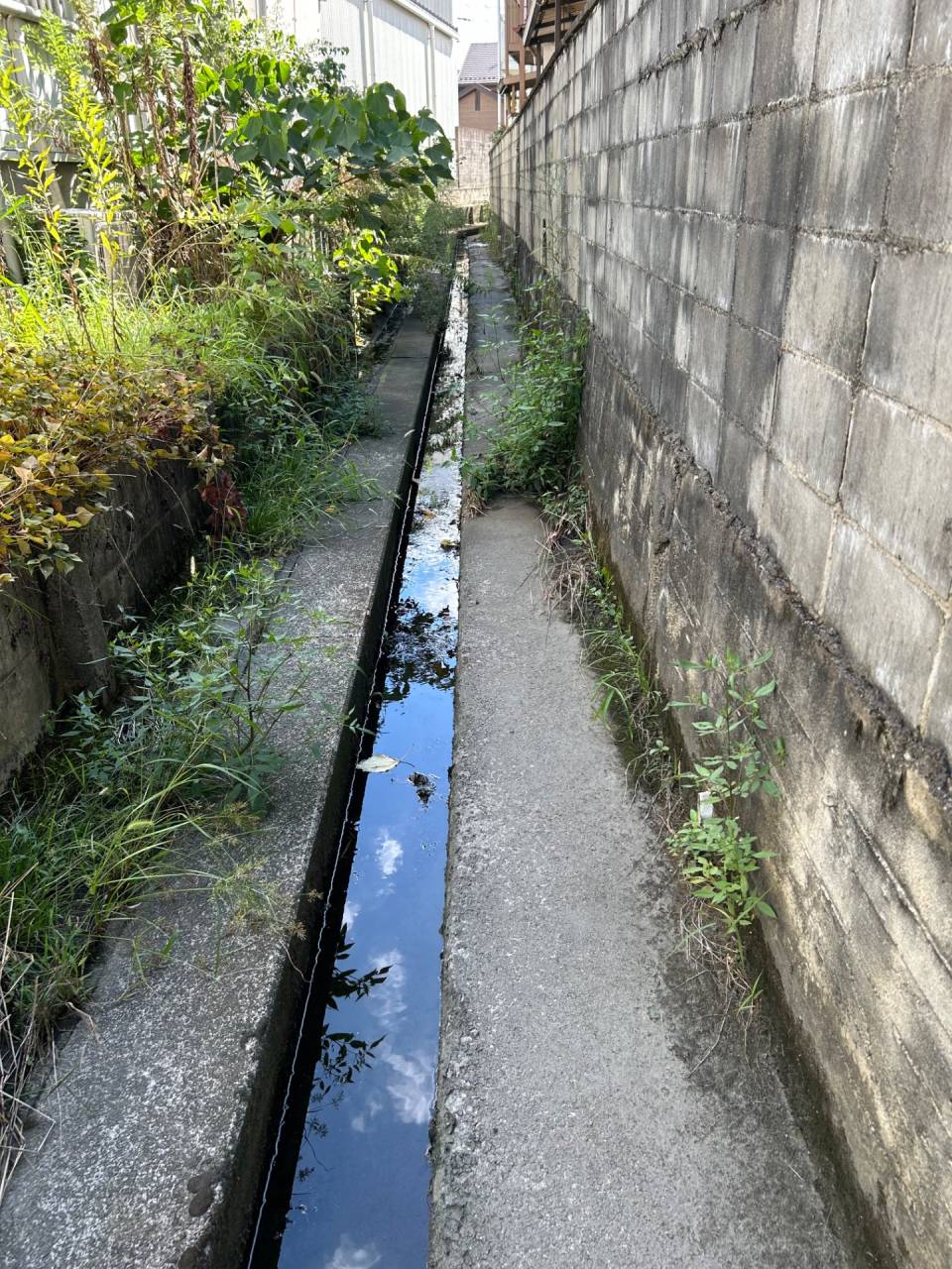 【溝掃除】溝掃除を行いました｜アミカル